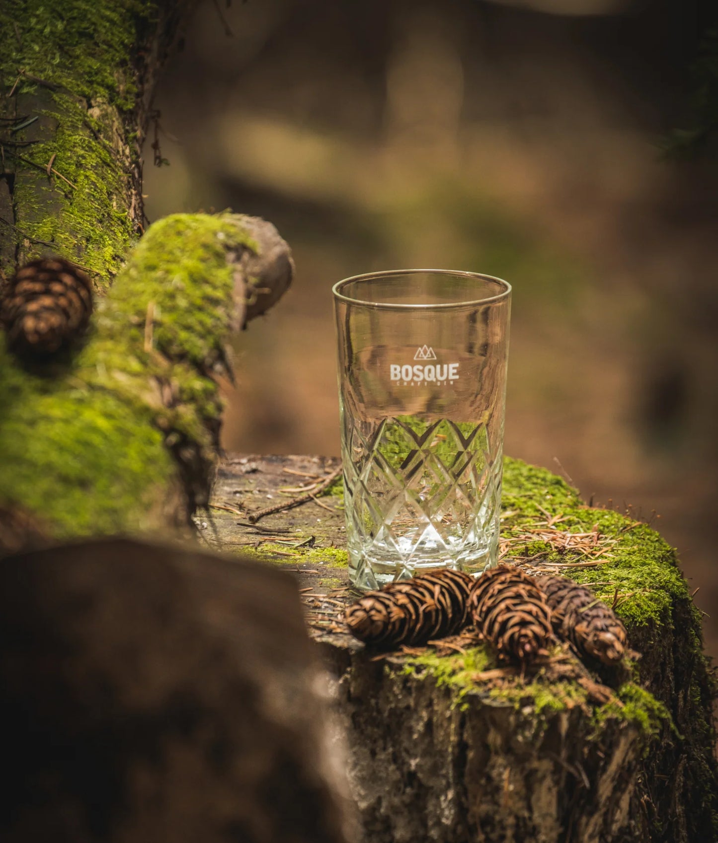 Bosque Hand-Carved  Glass Tumbler