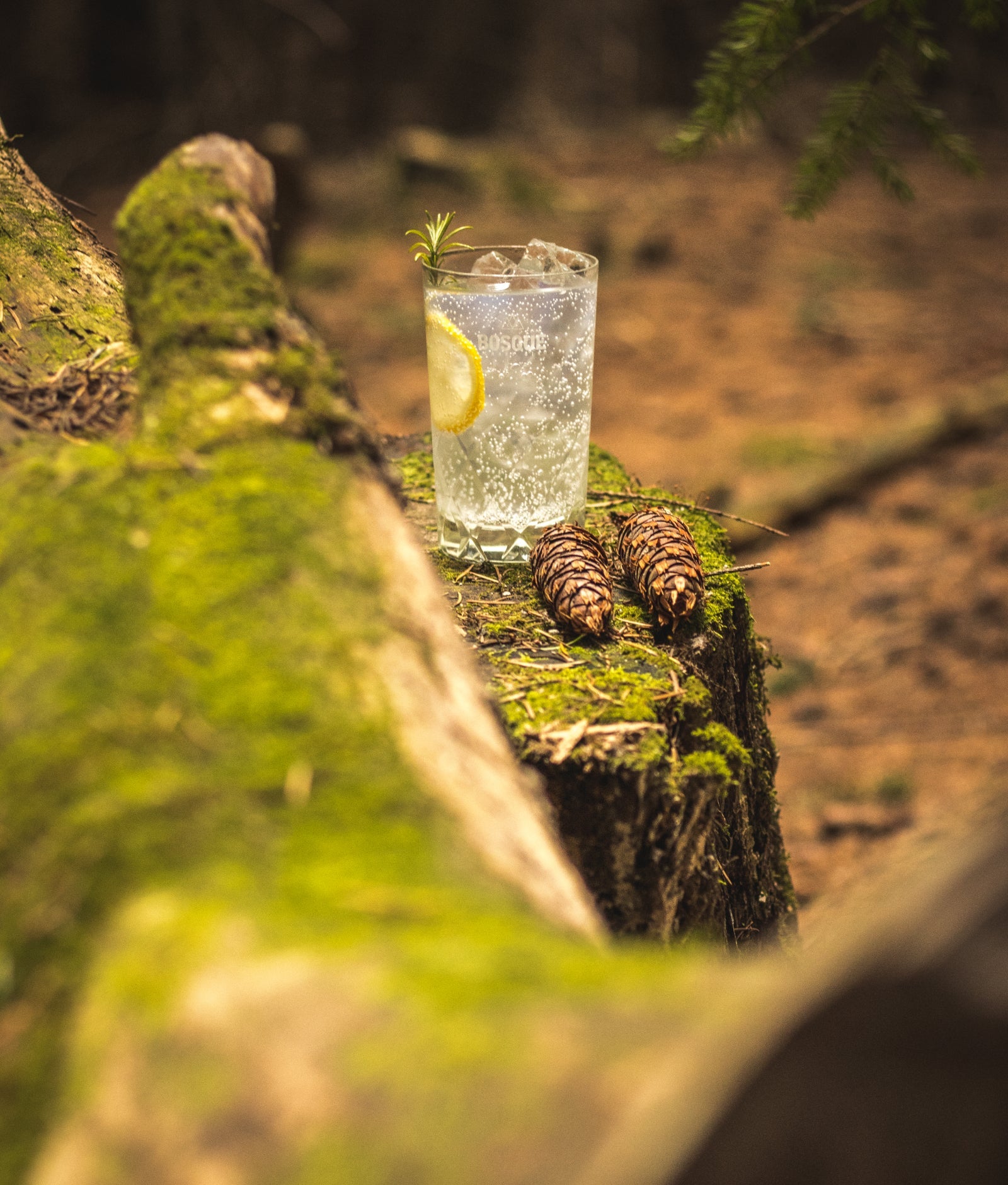 Bosque Hand-Carved  Glass Tumbler