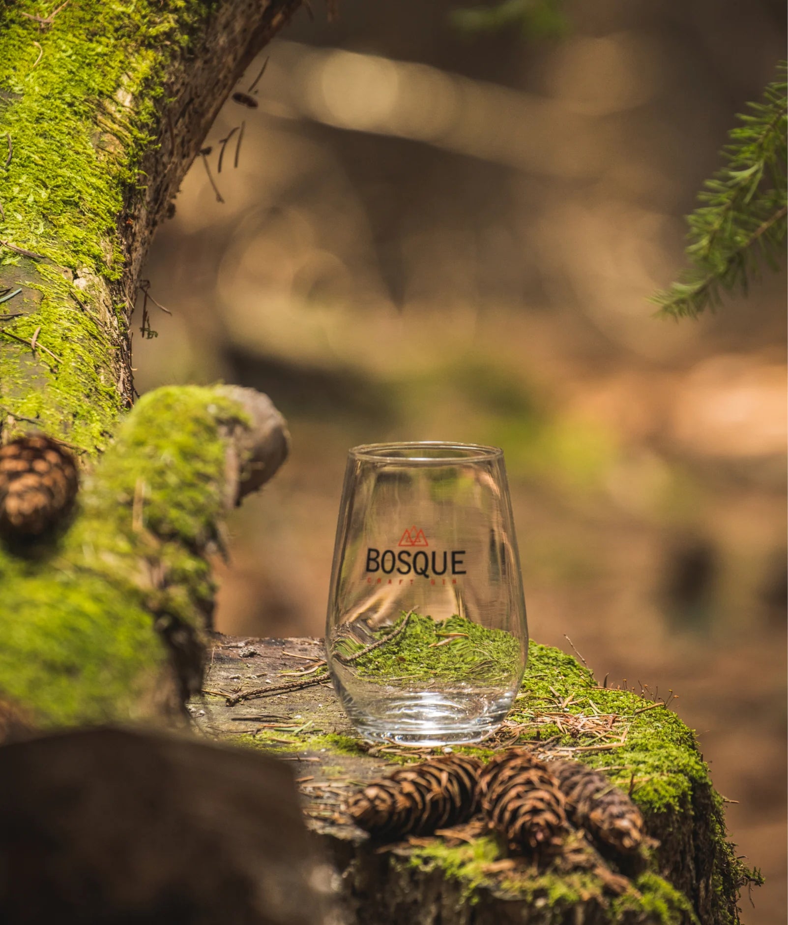 Bosque Vaso Glass Cup