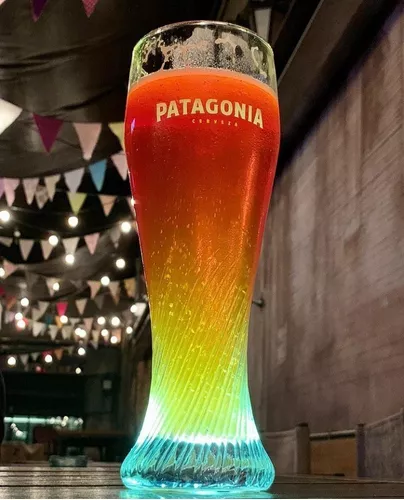 Patagonia Riegsee Beer Glass Set – Sophisticated 500 ml Curved Design